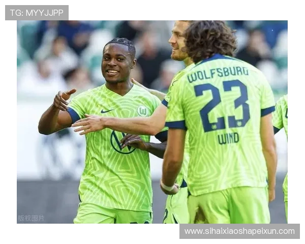 观察多特药厂马年德甲欧冠五席