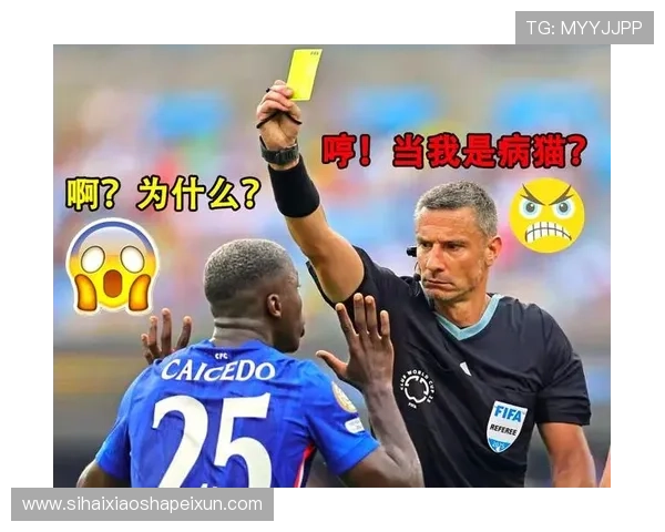 官方罚内托停赛一场并罚七万镑 官方罚内托停赛一场并罚七万镑